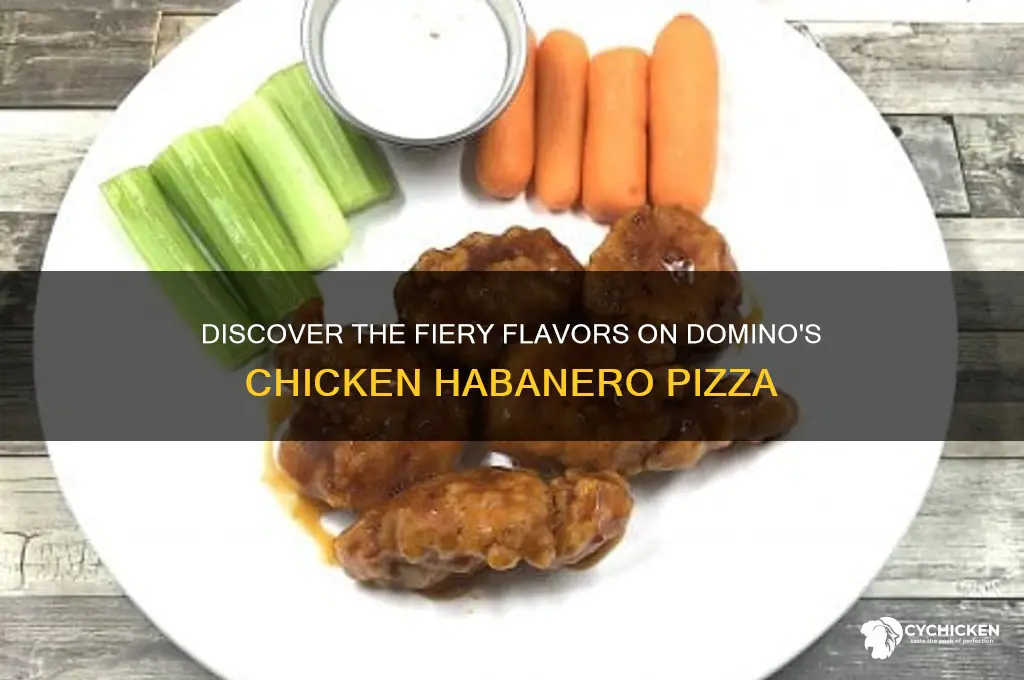 what is on the dominos chicken habanero