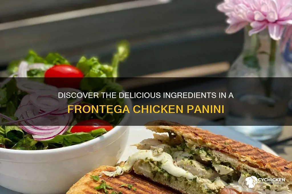 what is on the frontega chicken panini