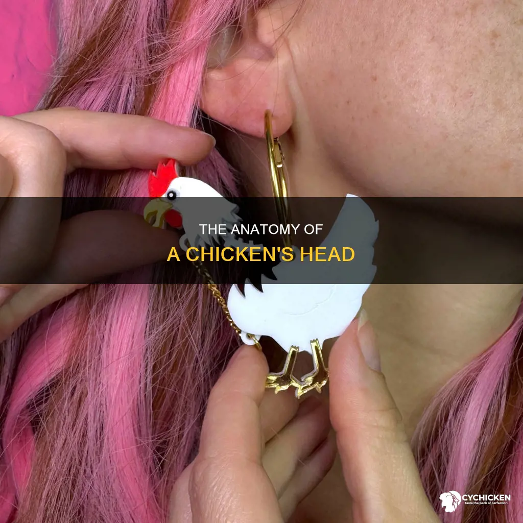 what is on the head of a chicken called