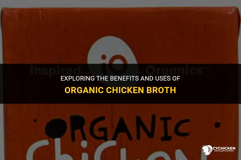 what is organic chicken broth