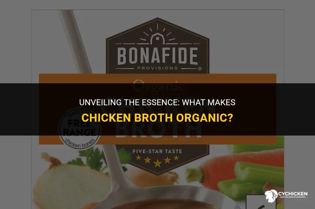 what is organic chicken flavor in broth
