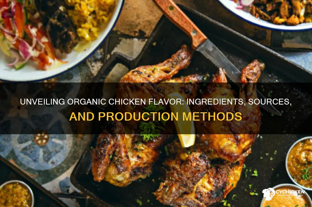 what is organic chicken flavor made of