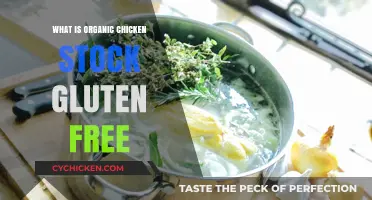 Is Organic Chicken Stock Gluten-Free? A Clear Answer