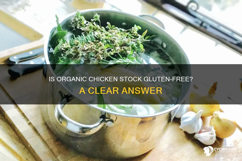 what is organic chicken stock gluten free