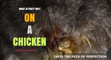 Understanding Pasty Butt in Chickens: Causes, Symptoms, and Treatment