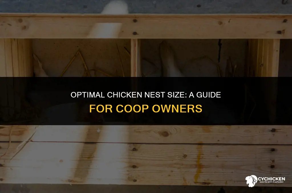 what is perfect size for chicken nest in a coop