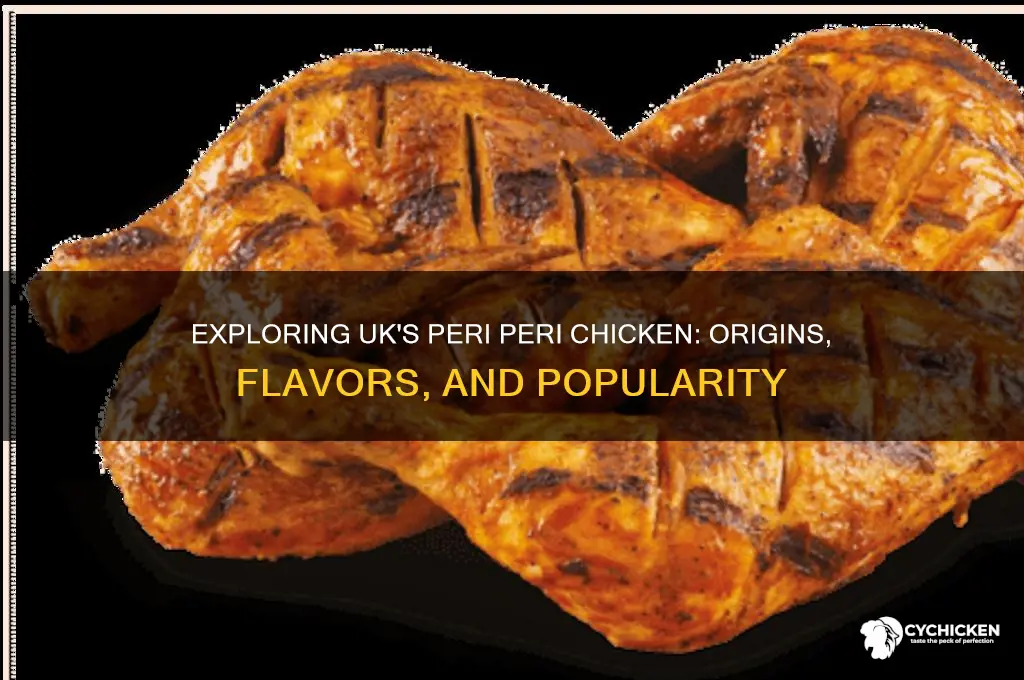 what is peri peri chicken in the uk