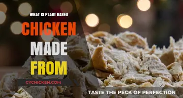 Discover the Ingredients Behind Plant-Based Chicken Alternatives