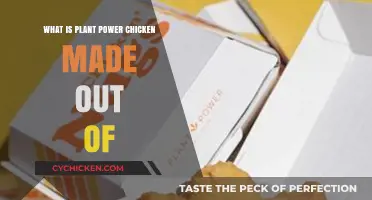 Discover the Ingredients Behind Plant Power Chicken: A Complete Guide