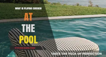Playing Chicken at the Pool: Risky Fun or Dangerous Dare?