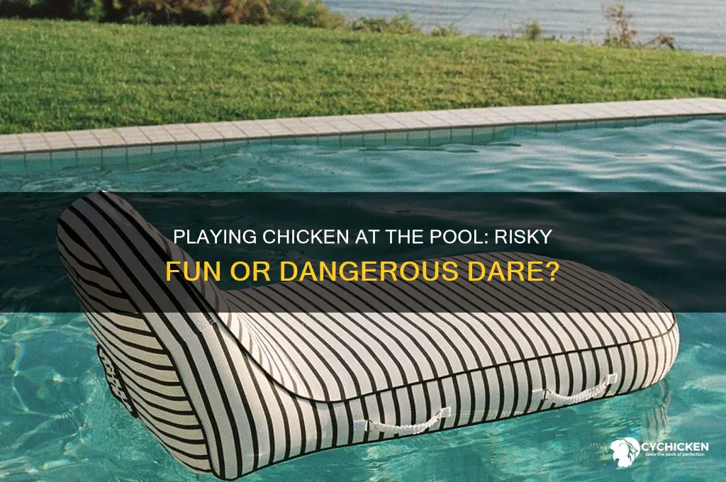what is playing chicken at the pool