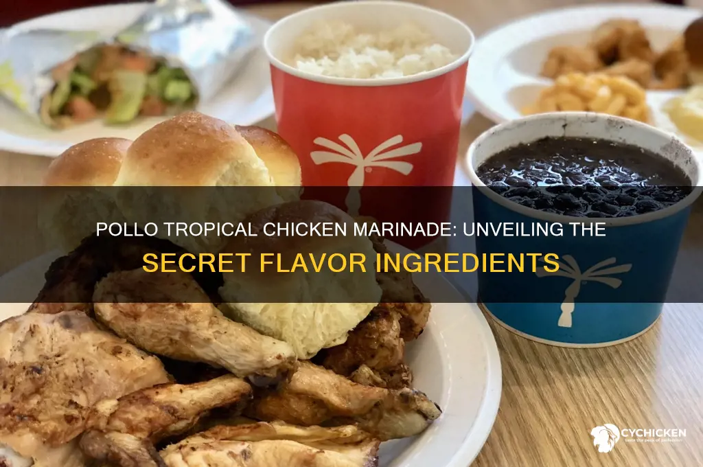 what is pollo tropical chicken marinated in