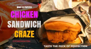 Popeyes Chicken Sandwich Craze: Unraveling the Fast-Food Frenzy Phenomenon