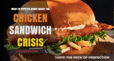 Popeyes' Chicken Sandwich Crisis: Strategies to Tackle the Shortage