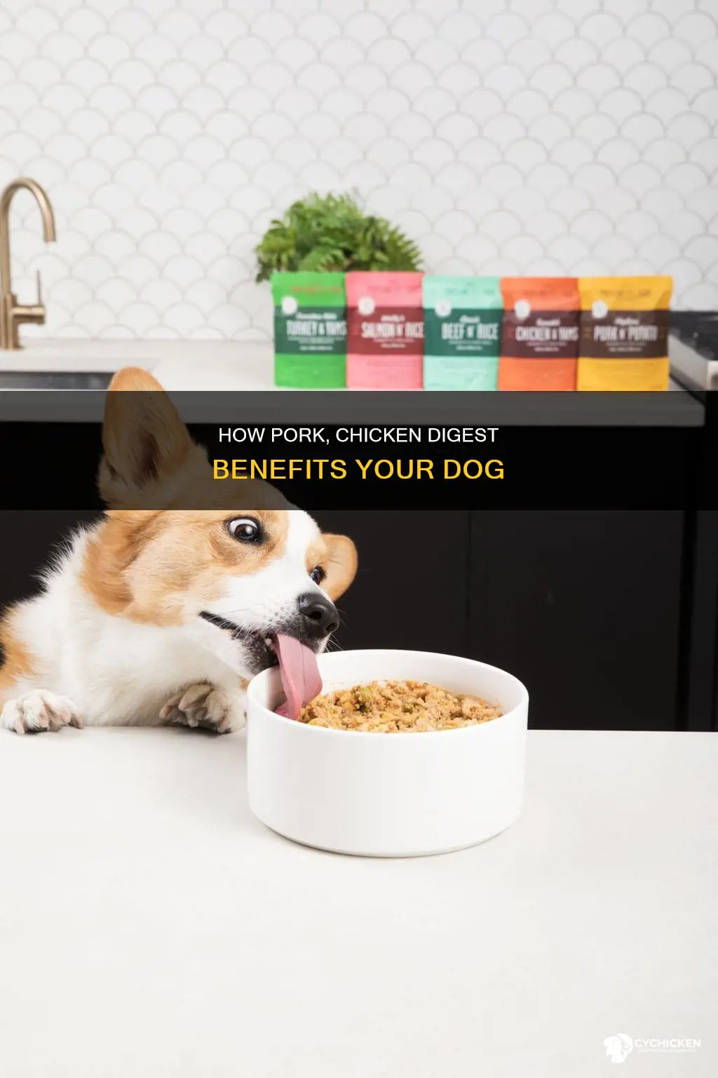 what is pork and chicken digest in dog food