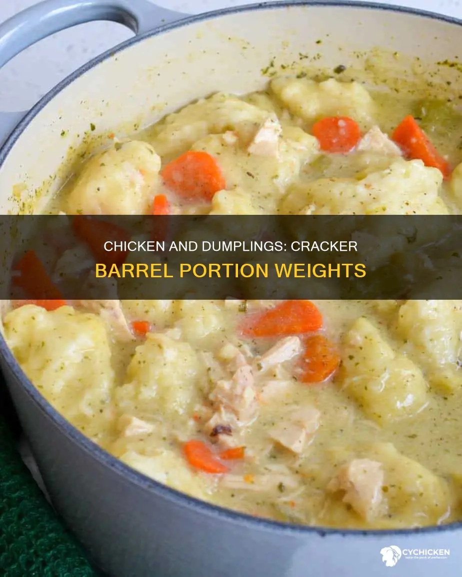 what is portionfor cracker barrel chicken and dumplingsweight watchers
