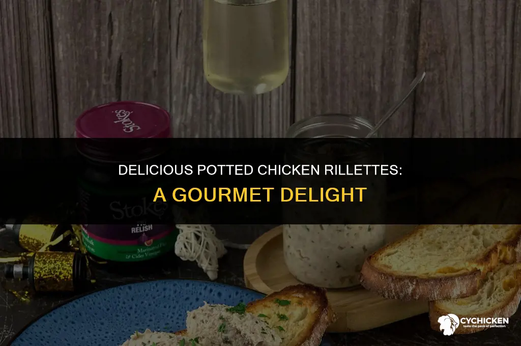 what is potted chicken rillettes