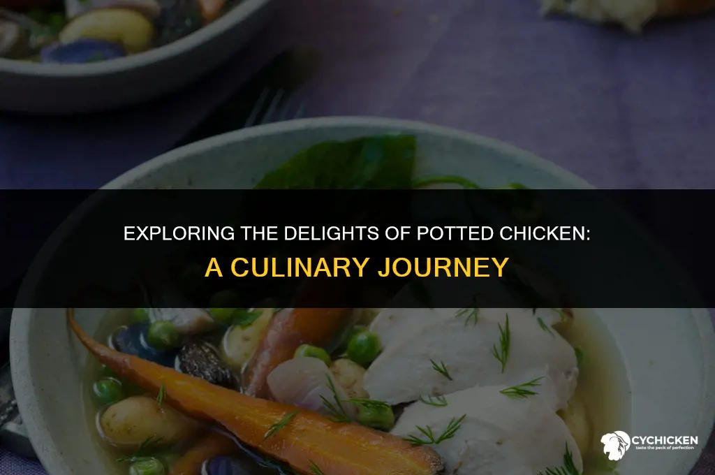 what is potted chicken
