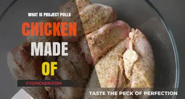 Unveiling Project Pollo's Chicken: Ingredients and Sustainable Practices Explained