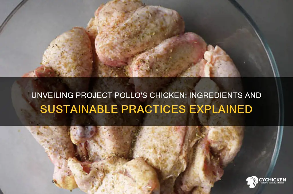 what is project pollo chicken made of