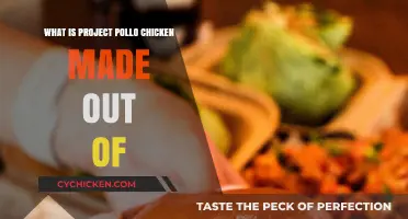 Unveiling Project Pollo's Chicken: Ingredients and Sustainable Practices Explained