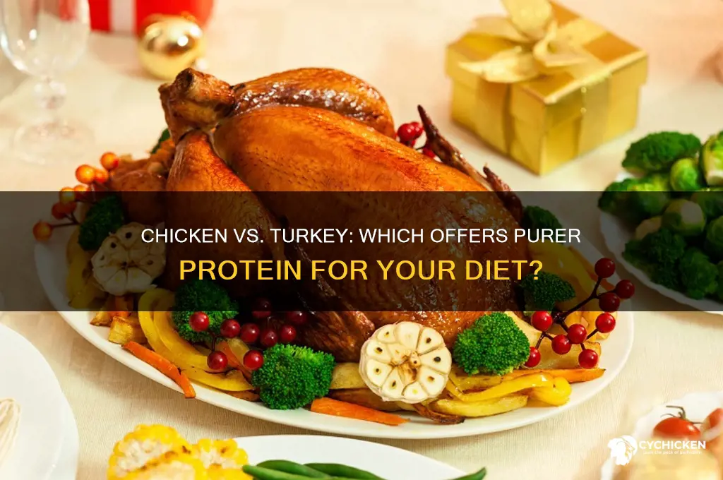 what is purer protein chicken or turkey