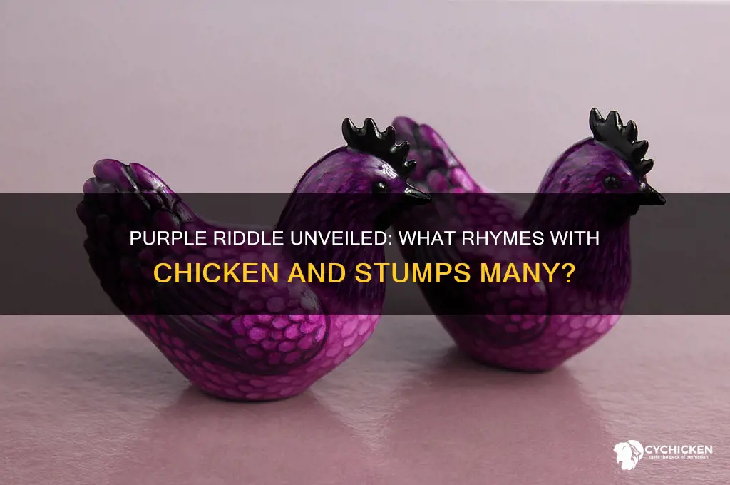 what is purple and rhymes with chicken riddle