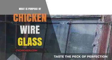 Understanding Chicken Wire Glass: Purpose, Benefits, and Practical Applications