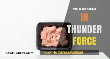 Understanding Raw Chicken's Role in the Thunder Force Universe