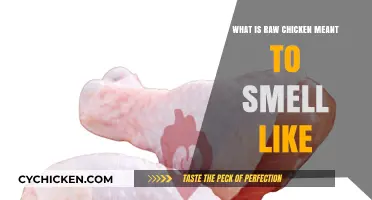 Understanding the Natural Aroma of Fresh Raw Chicken: What to Expect