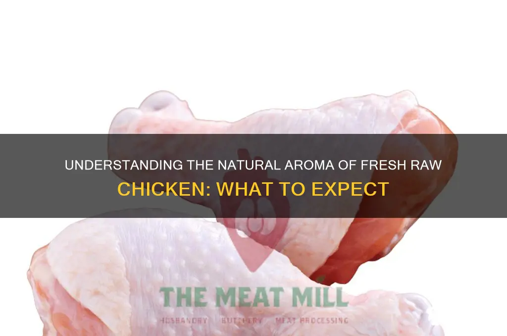 what is raw chicken meant to smell like