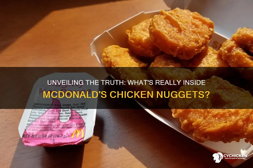 what is really in mcdonald chicken nuggets