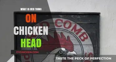 Understanding the Red Comb: What's the Red Thing on a Chicken's Head?