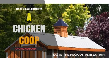Understanding Roof Battens: Essential Support for Your Chicken Coop