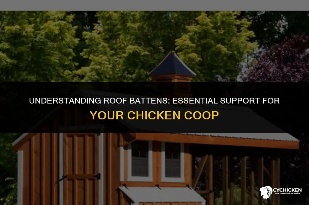 what is roof batten on a chicken coop