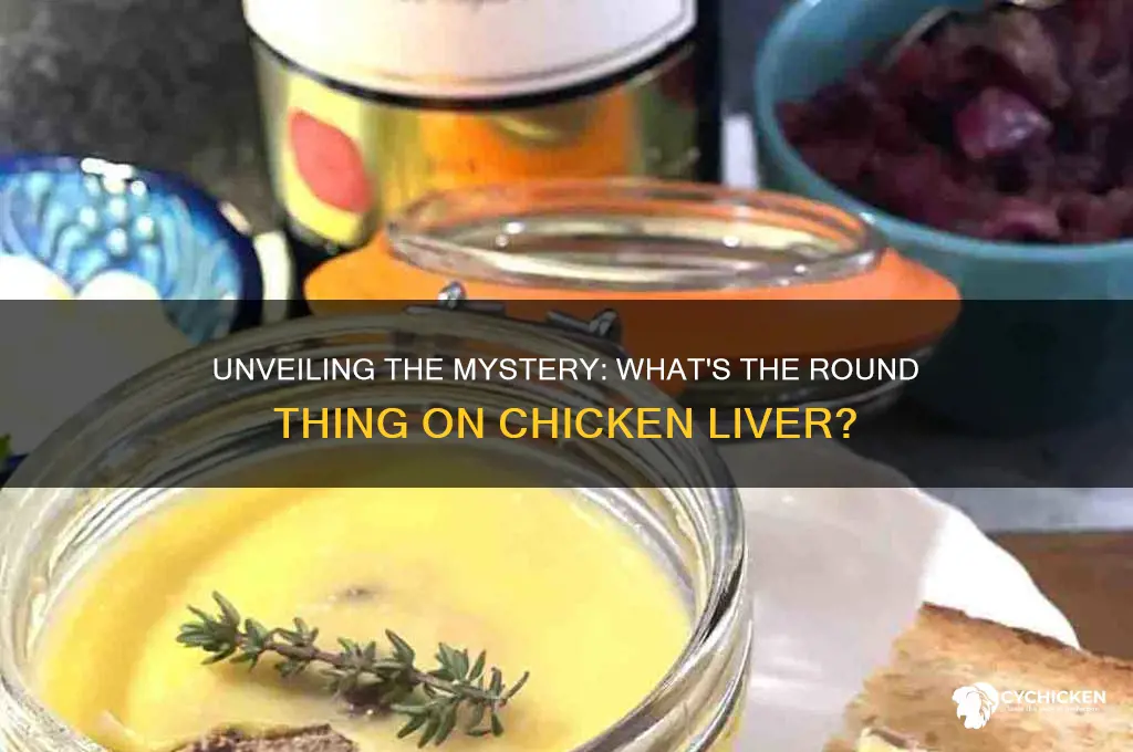 what is round thing on chicken liver
