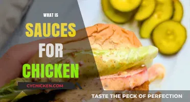 Discover the Best Sauces to Elevate Your Chicken Dishes