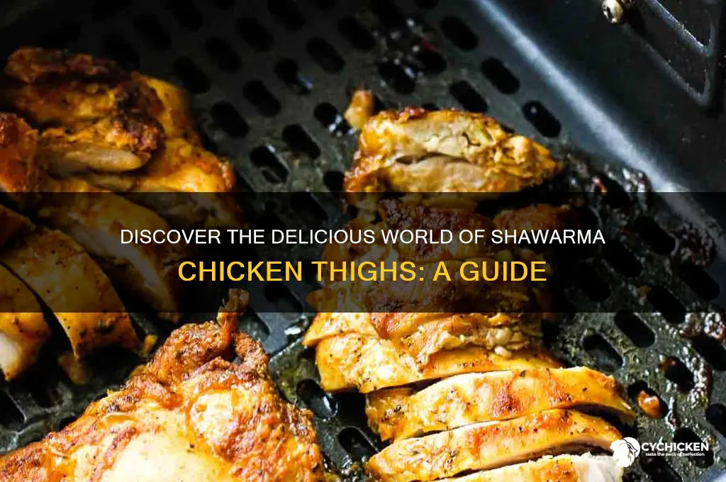 what is shawarma chicken thighs