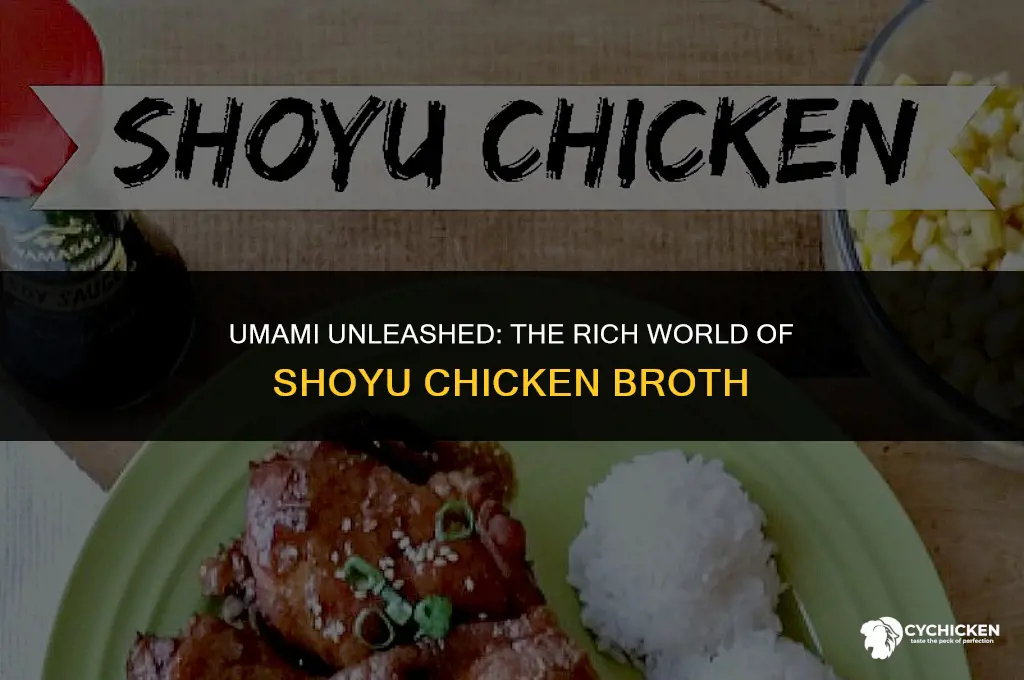 what is shoyu chicken broth