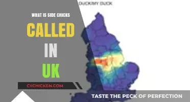 UK Slang for Side Chicks: Unveiling British Terminology for Secret Partners