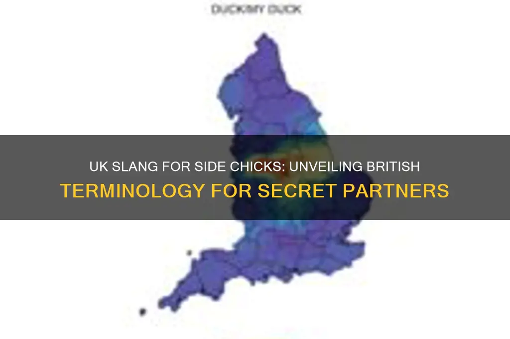 what is side chicks called in uk