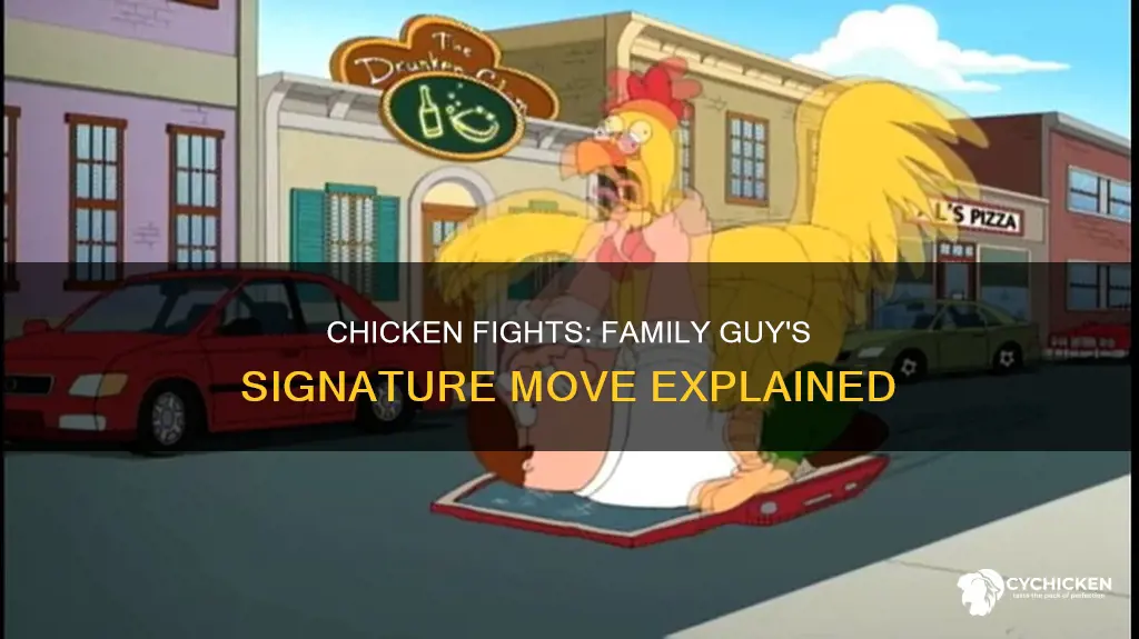 what is significance of chicken fight in family guy