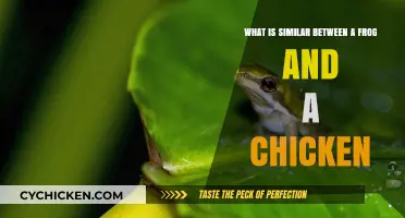 Frogs and Chickens: A Tale of Similarities