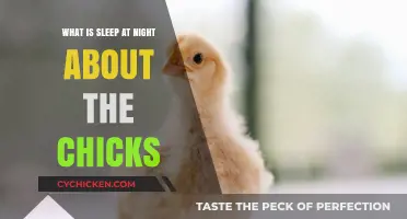 Understanding Sleep Patterns in Chicks: A Nighttime Behavior Exploration