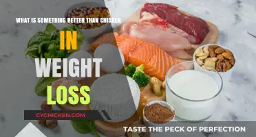 Meat Alternatives: Better Than Chicken for Weight Loss?