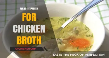 Savoring Flavors: Unveiling the Spanish Secret for Chicken Broth