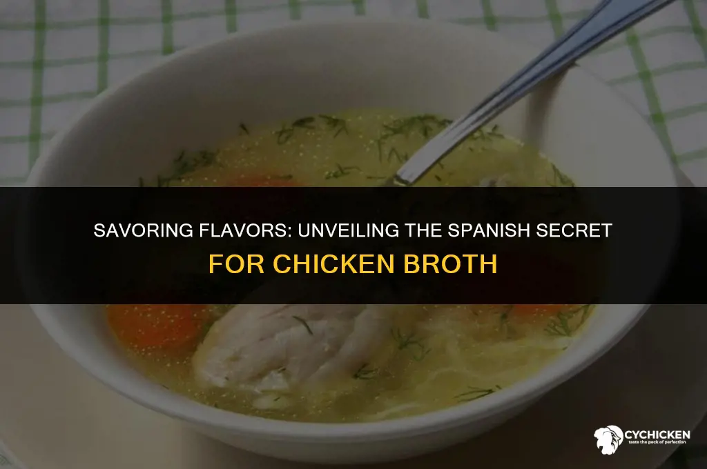 what is spanish for chicken broth