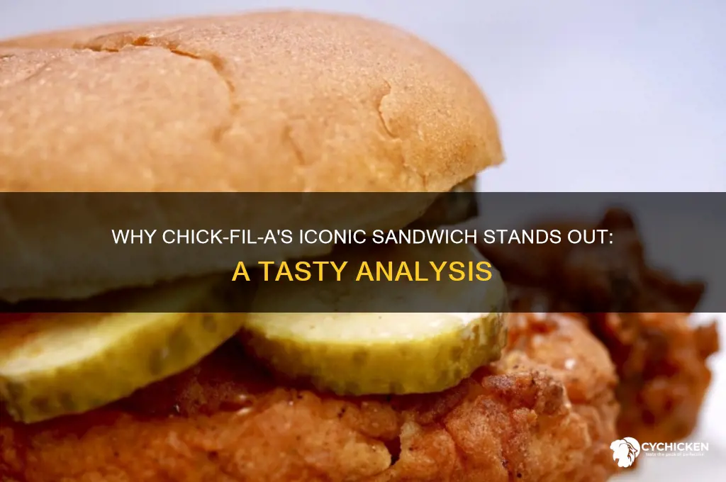 what is special about chick fil a sandwich