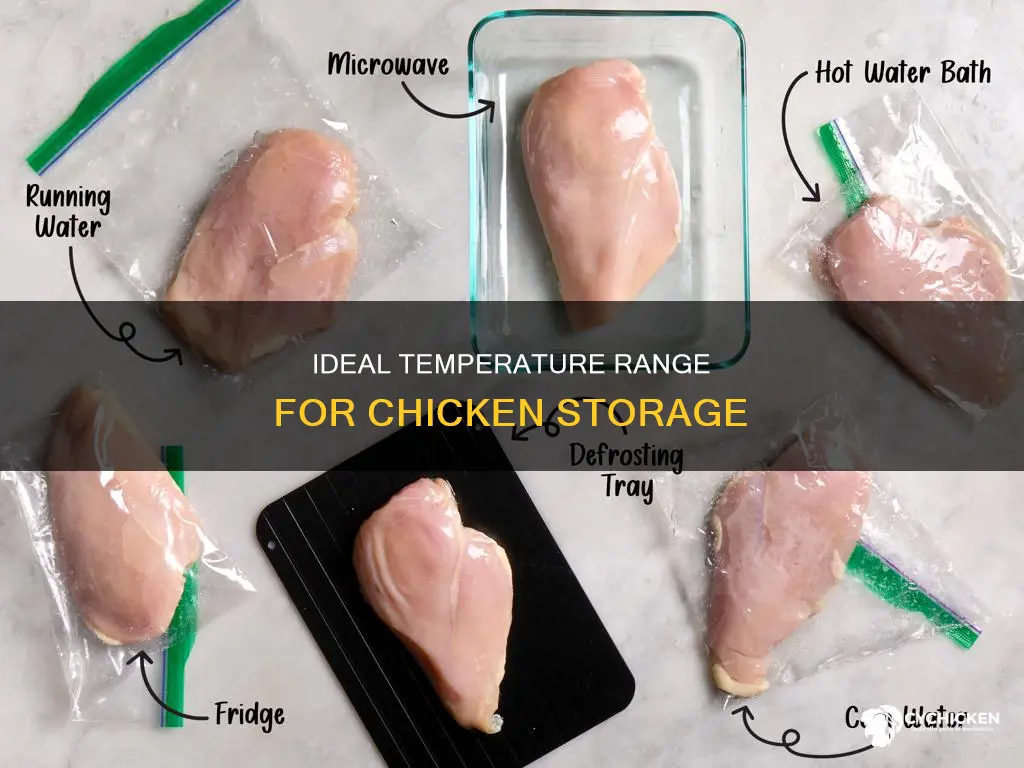 what is supposed to be the temperature of a chicken