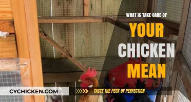 Understanding 'Take Care of Your Chicken': A Comprehensive Guide to Poultry Care